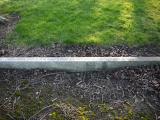 image of grave number 198758